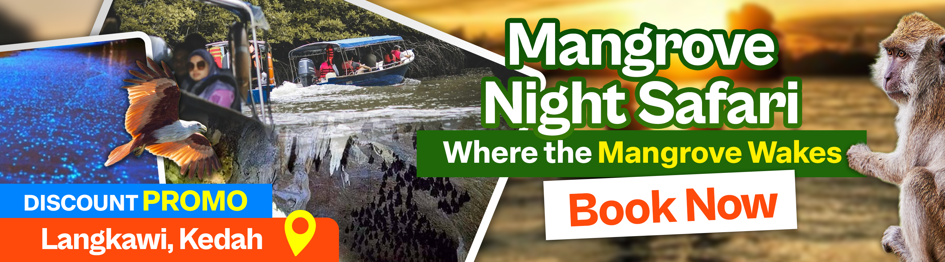 Exclusive Launch Celebration Offer - Mangrove Night Safari